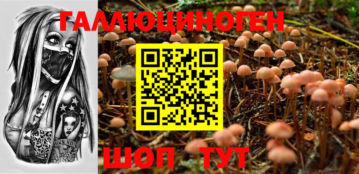 Псилоцибиновые грибы ЛСД  Галлюциногенные грибы MAGIC MUSHROOMS  Вход с VPN  Михайловск 